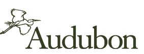 Audubon