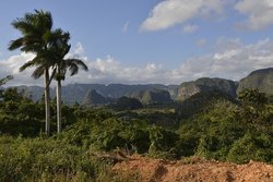 Cuba Landscape