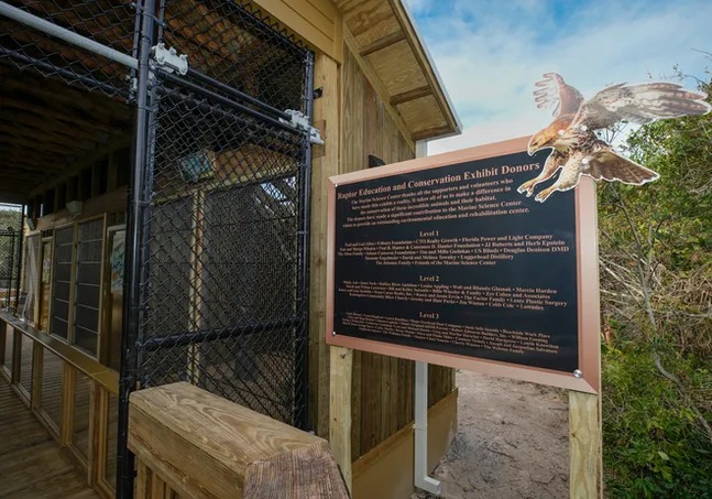 Raptor Exhibit