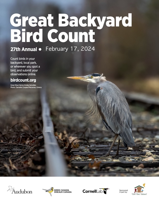 GBBC Poster