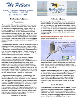 April Pelican