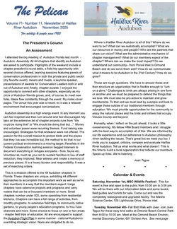 November Pelican Link