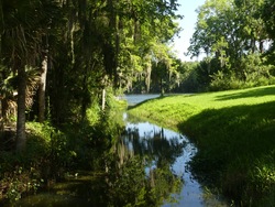 Central Park