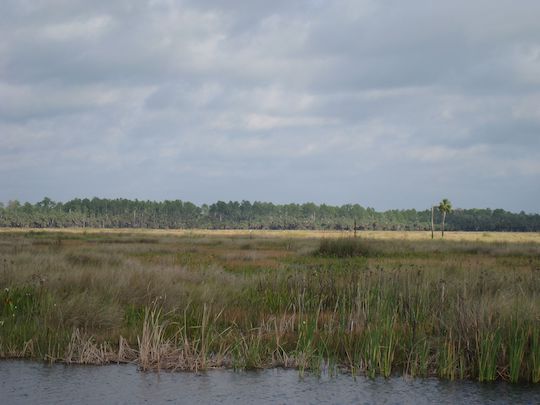 Lake Woodruff