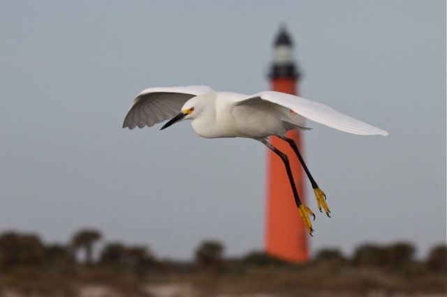 Lighthouse