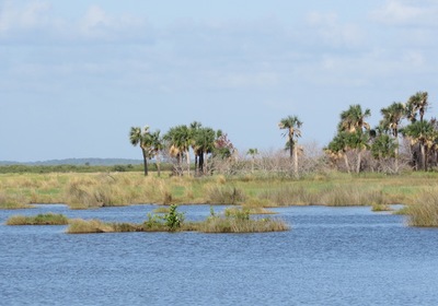 December 16, 2016 Merritt Island Field Trip